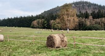 pastwiska dla owiec na terenach górskich powiatu kłodzkiego