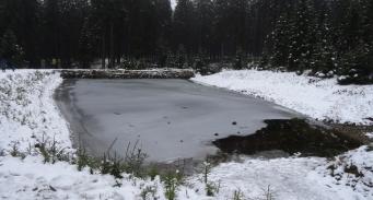 Pokryty śniegiem zbiornik małej retencji w Nadleśnictwie Szklarska Poręba