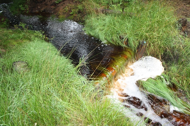 Wyjazd studyjny „Woda i środowisko – ochrona zasobów wodnych w powiecie świdnickim”
