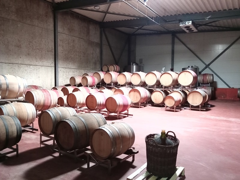 Wyjazd studyjny - Operacja Produkcja win ekologicznych w małej winiarni