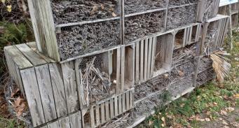 Domek dla murarek - pszczół samotnic wspierających zapylanie w Maciejowym Sadzie