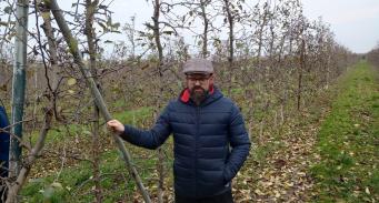 Sadownik Maciej Karczewski przedstawia metody ciecia jesiennego drzew owocowych