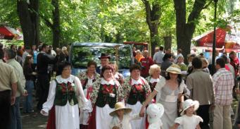 VIII Dolnośląska Impreza Edukacyjno-Rekreacyjna  - Muchowska Kosa 2009