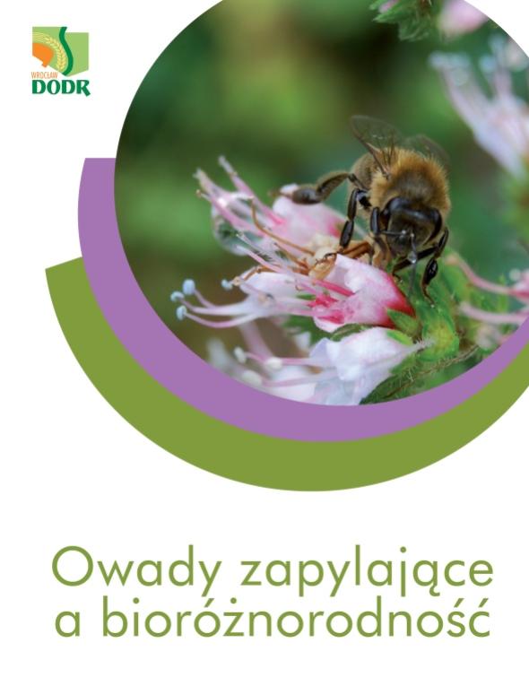 Okładka broszury "Owady zapylające a bioróżnorodność"